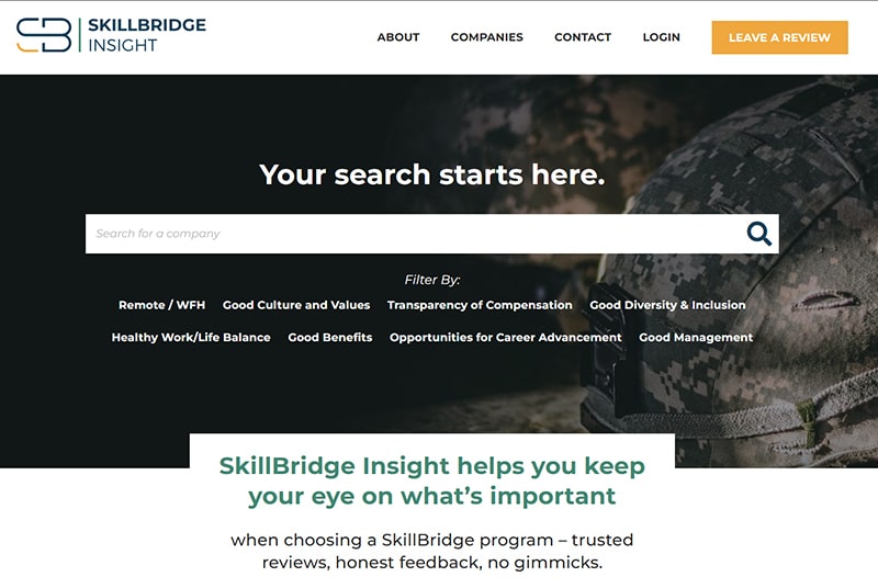 SkillBridge Insight